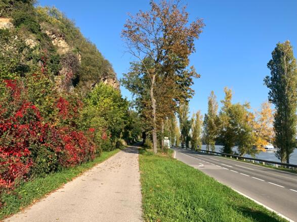 Donauradweg nach Förthof