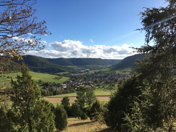 Im Naturschutzgebiet Haarberg-Wasserberg
