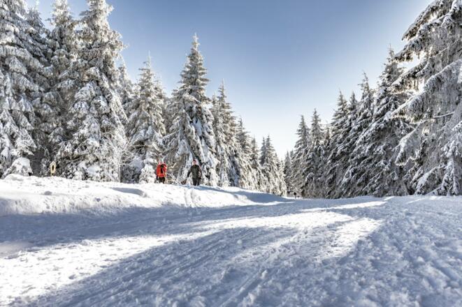 Auf dem Skiwanderweg Rennsteig