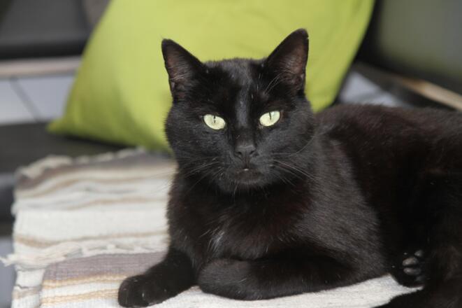 Bergbauernhof Burkert