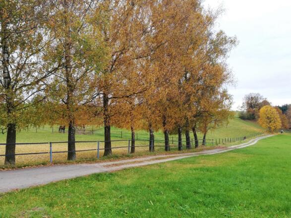Talmulde zwischen Wölfing und Wolfersdorf