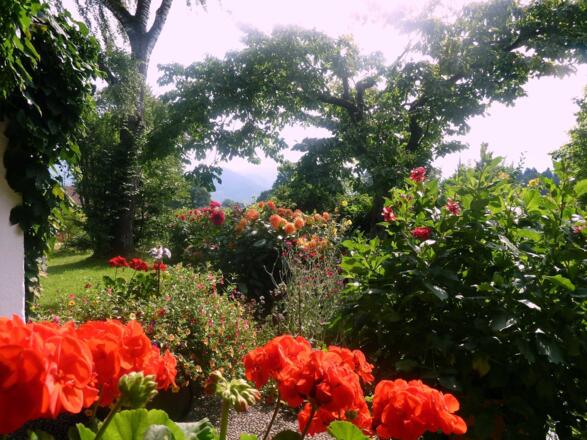 Unser verwunschenen Garten