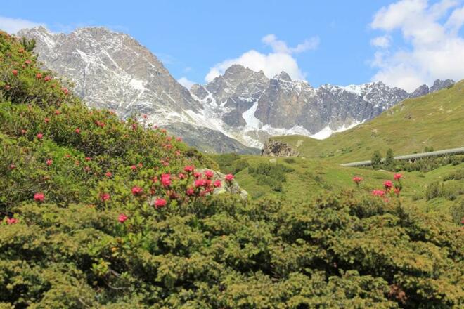 Sommer in der Silvretta
