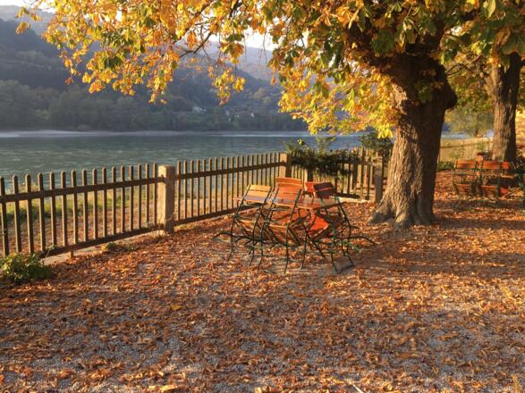 Gastgarten in Aggstein an der Donau