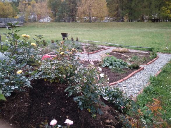 Kräutergarten im Werden