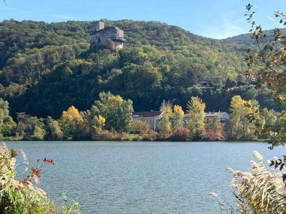 Burg Greifenstein über Donaualtarm
