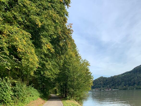 Der Donauradweg auf der linken Seite kurz vor Au