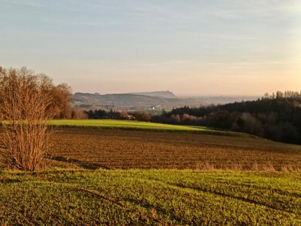 Blick vor Weingarten zum Bogenberg
