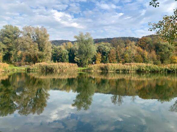Donauinsel Wörth im Strudengau