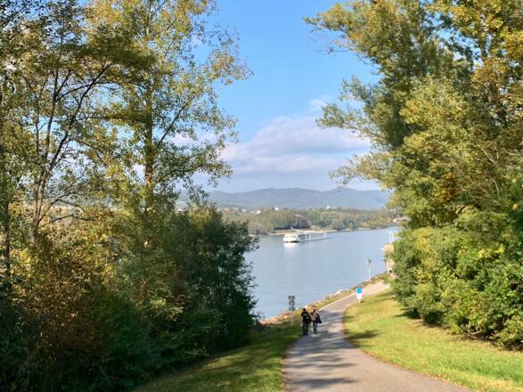 Donauradweg bei Melk