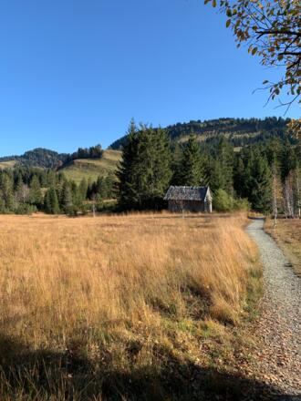 Häderichmoor im Schutzgebiet