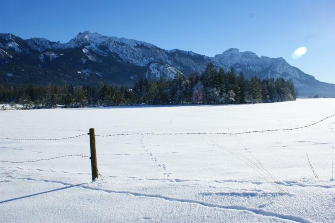 winter 3