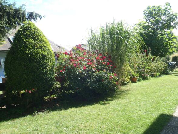 gaestegarten (2)