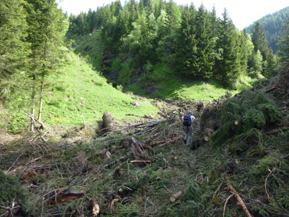 Lawinenschaden