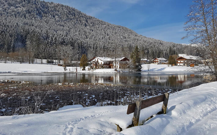 Ruhebank am Böcklweiher