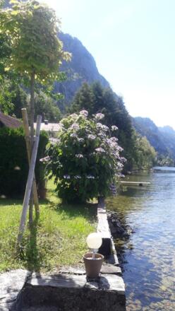 Badeplatz mit Hortensie