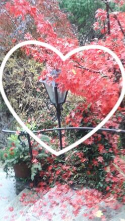 HERBST