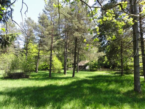 Heidewiese an der Schongauer Alm