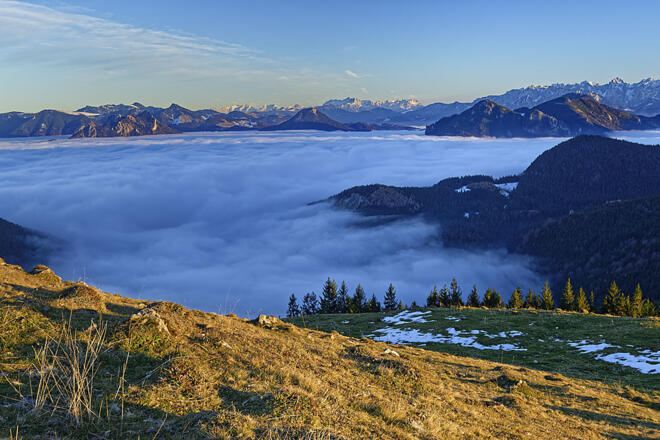 Mit seinen 1274 Metern ragt der Farrenpoint gut über das Nebelmeer hinaus.