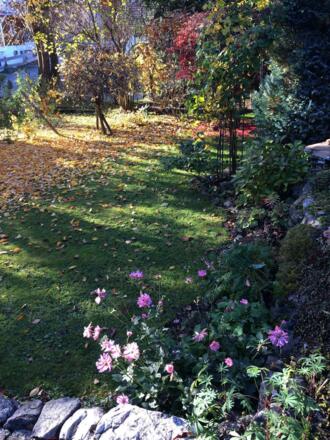 Herbstzauber