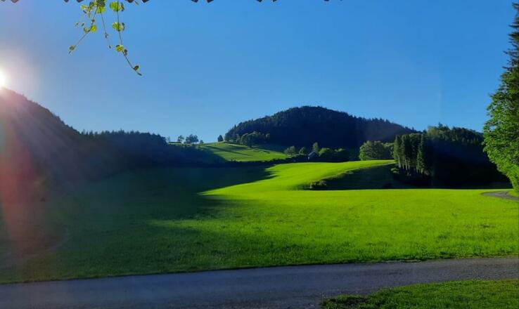 Aussicht vom Ferienhaus aus