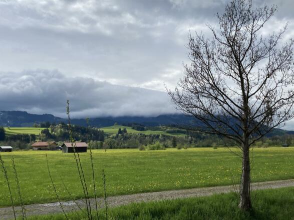 Frühlingsstimmung