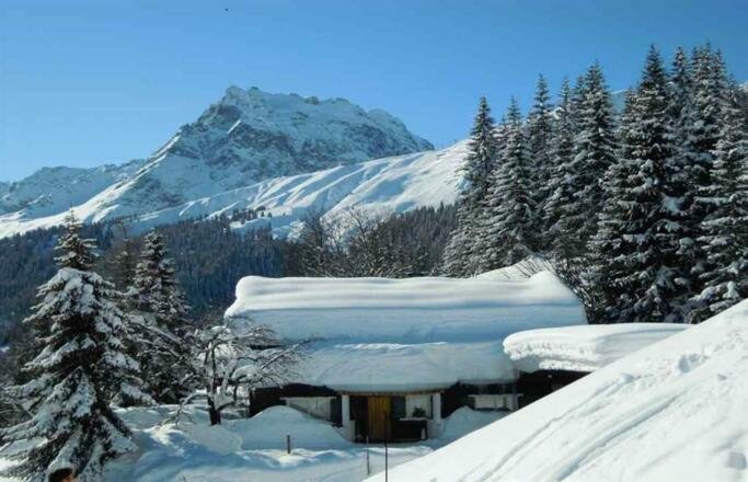 Blick auf die Madrisa