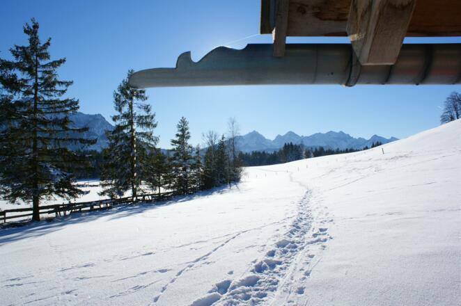 winter 5