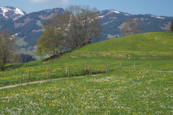 Fellhorn Balkonblick