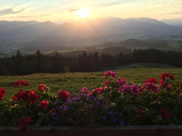 Abendstimmung am Berg