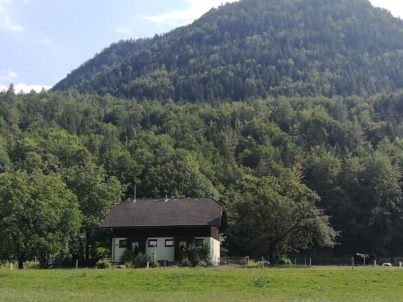Im Hintergrund der Hausberg `Zuckerhut`