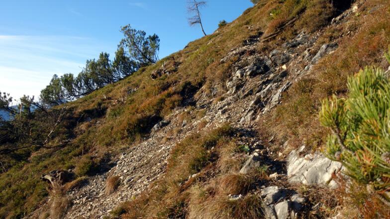 Zum Hochpunkt (1110 m) der Querung ansteigen