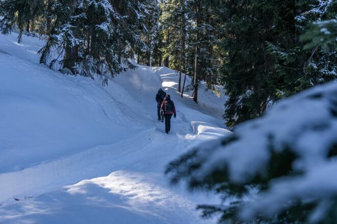 Winterwanderung zum Brandkopf