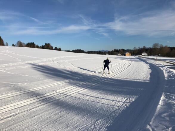 Langlaufloipe Seerunde Bad Bayersoien