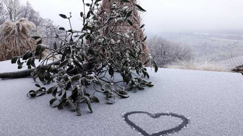 Foto Handy  von Marianne 2019 870