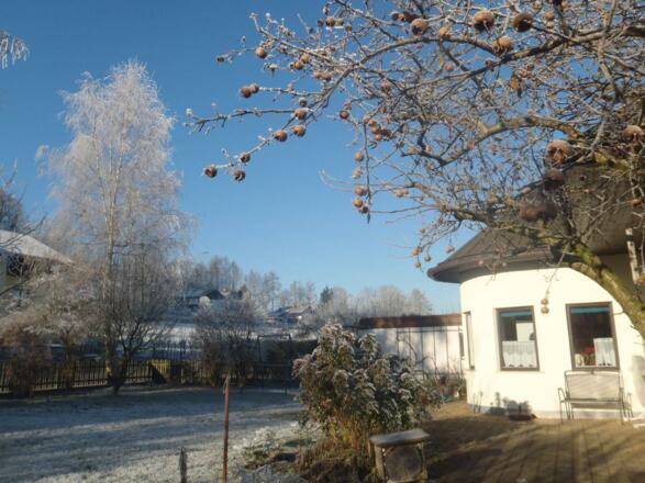 winter-2018