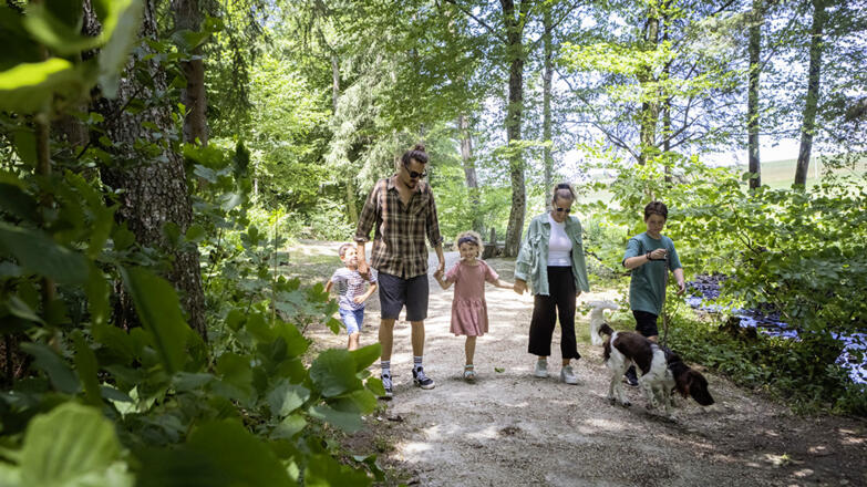 Fischen im Bach - Camp Mondseeland