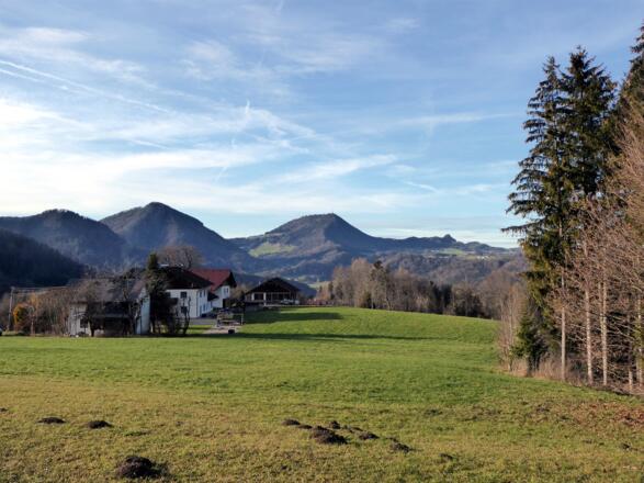 Der Weg von der Siederhöhe nach Ebenau mit dem Gaisberg in der Bildmitte.