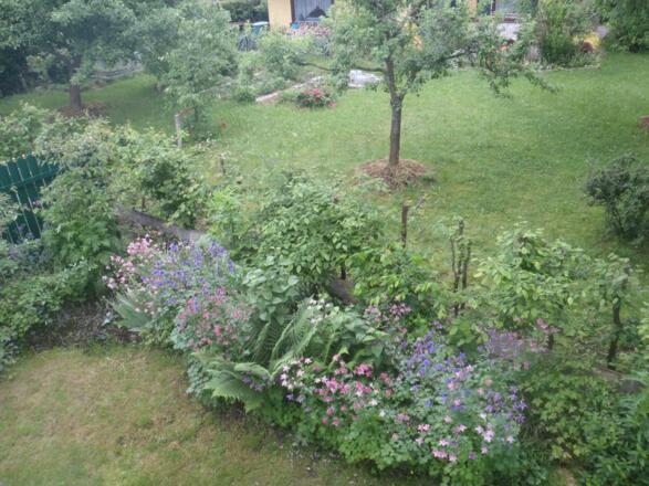 blumenschmuck