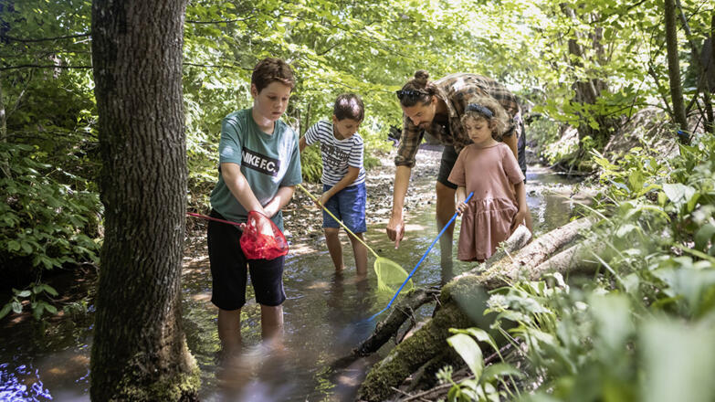 Hundeplatz - Camp Mondseeland