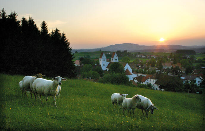 Abendstimmung über Steingaden
