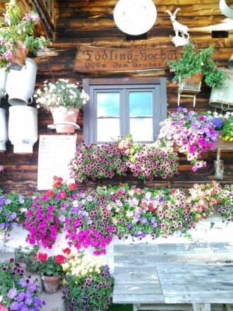 Blumenschmuck