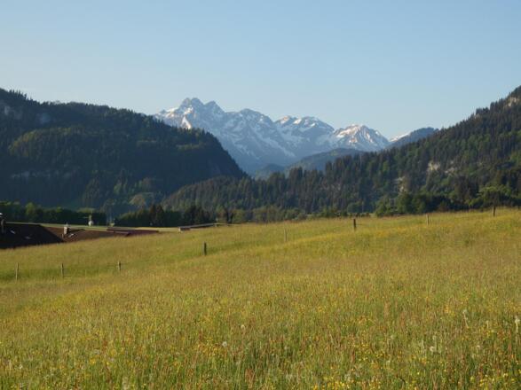 Blick vom Südbalkon