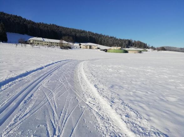 Loipe Freistadt im Dezember 2022