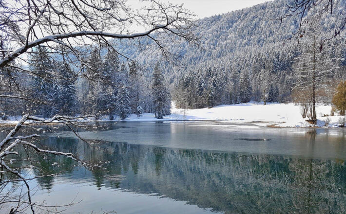 Böcklweiher im Winter