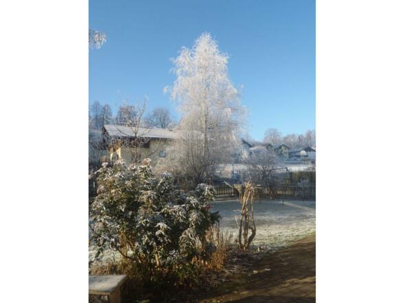 winterlicher-garten