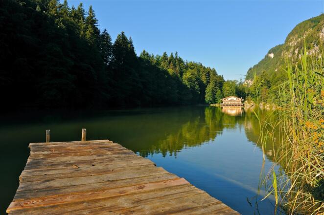 Naturjuwel Berglsteinersee im Sommer