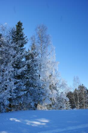 winter 2