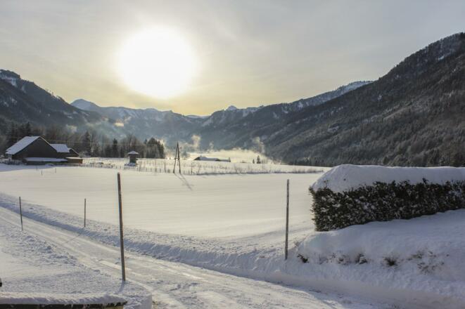 IMG_4327183_1