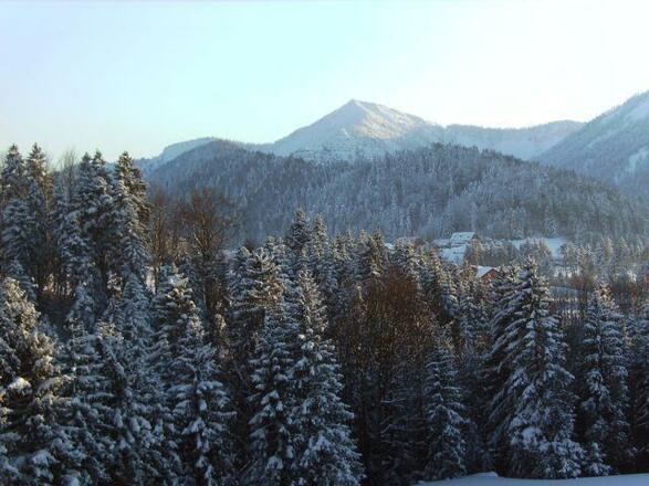 Privatzimmer Inge Klaushofer, Blick vom Balkon, 20